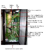 Cage Detail
