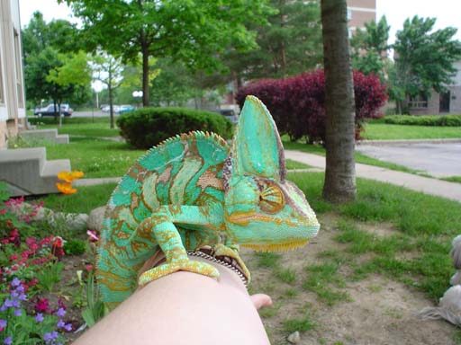 Zoe Outdoors