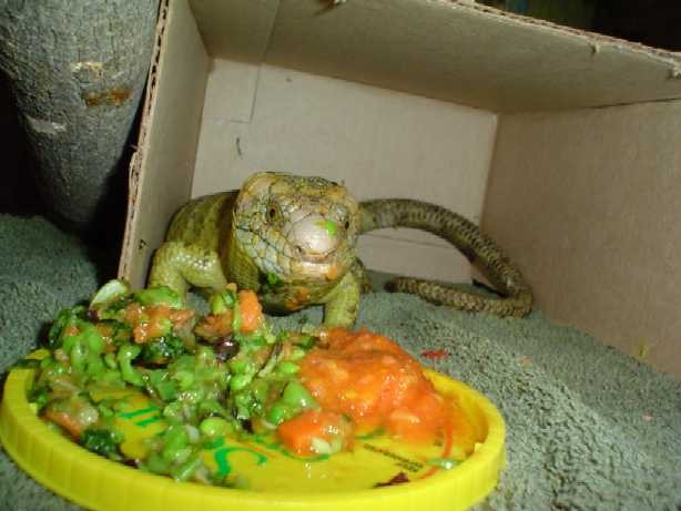 Dinner Time...