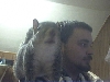 my pet squirrel