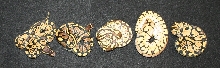 group
