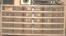 rack2