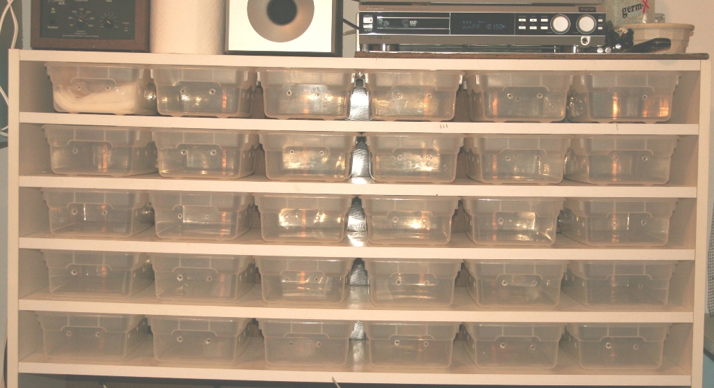 rack2
