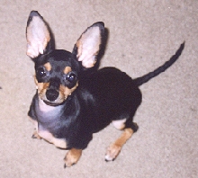 Mr. Fritz!