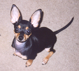 Mr. Fritz!
