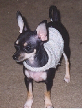 Fee! in her sweater