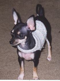 Fee! in her sweater