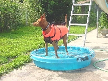 Bravest Of The Brave