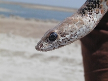 Nice head shot