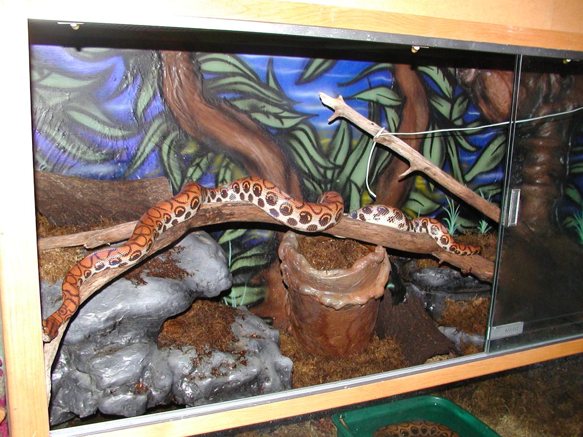 Stretched out