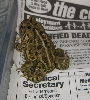 Toad