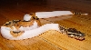 Post shed pic2