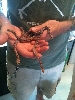 Scaleless Texas Rats 3