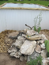 Collard cage