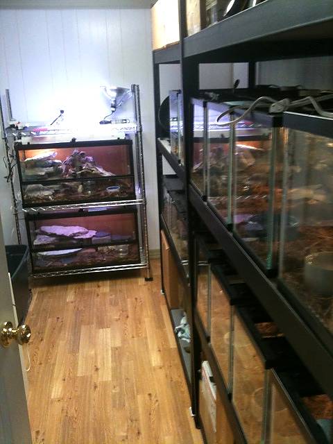 MontaineRoom2