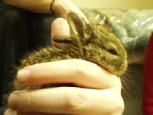 Lucky at 18 days