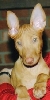 Phaith (CharmedWons Blessed B)