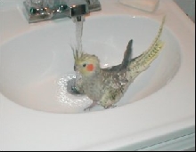 Natasha bathing