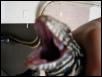 AAHHHRRRGGGG!!!