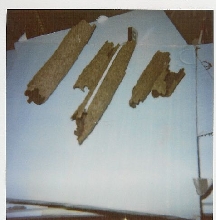 bark tubes