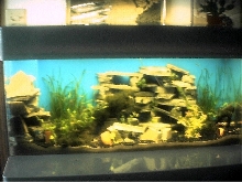 tank
