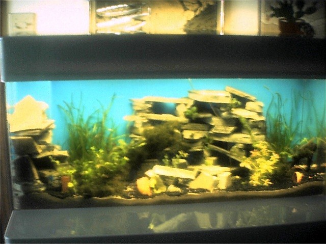 tank