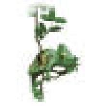 amamated veiled
