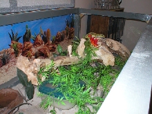 another view