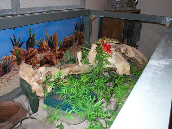 another view
