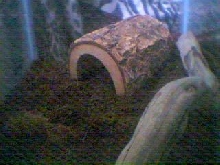 Other half of the tank
