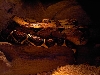 BCI MALE LEDGE