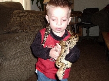 The New Crocodile Hunter (16 years from now)