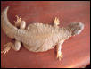 SMALLEST URO