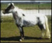 Patton's Keisha