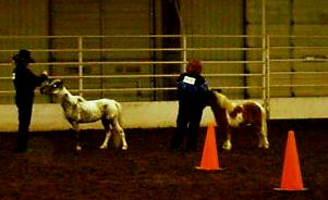 show