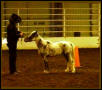 Keisha Show