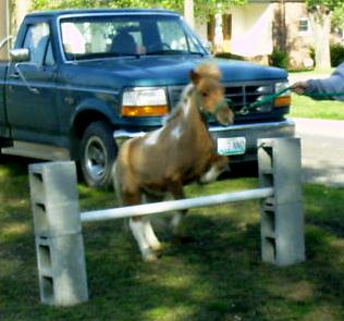 Desi Jumping