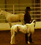 show