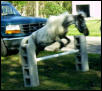 Keisha Jump