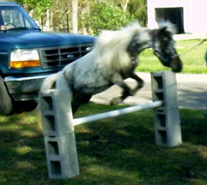 Keisha Jump