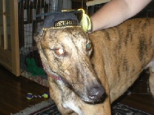 Like my cap?