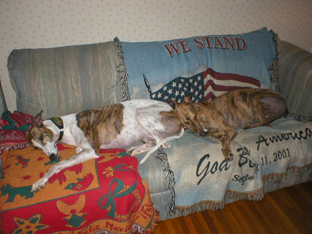 Jeopardy and Deuce
