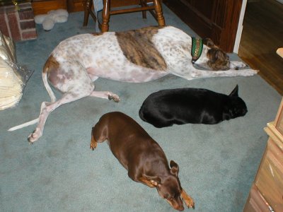Mama we're all lazy now!