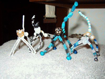 DH Wire Cats
