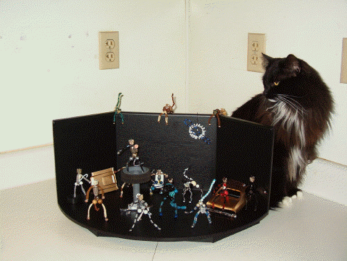 CATS Stage