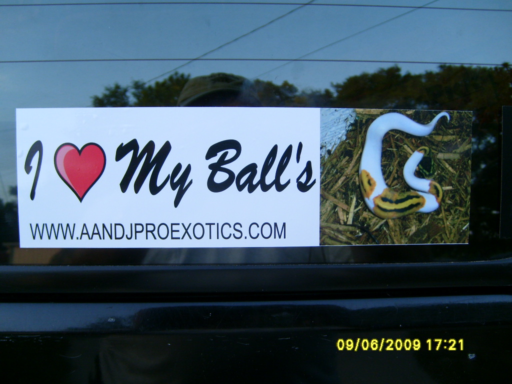 I love my Balls