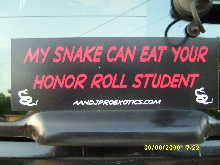 My snake.....