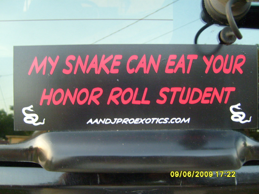 My snake.....