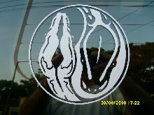 A& J PROEXOTICS LOGO