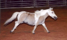jack liberty 3